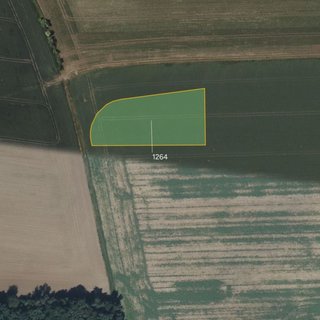Prodej zemědělské půdy 4 553 m² Libodřice