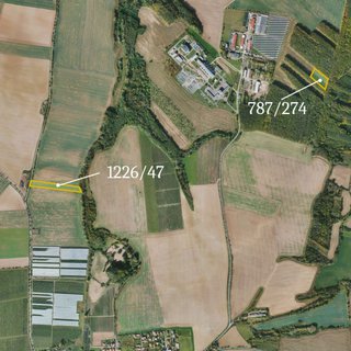 Prodej zemědělské půdy 13 444 m² Vitice