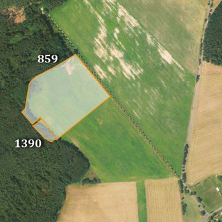 Prodej zemědělské půdy 13 385 m² Arnoltice