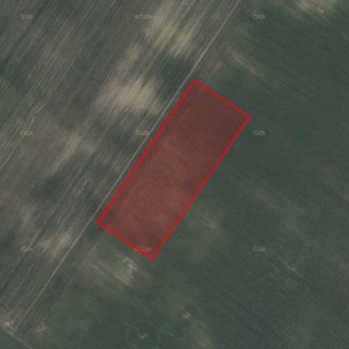 Prodej zemědělské půdy 13 825 m² Moravský Žižkov