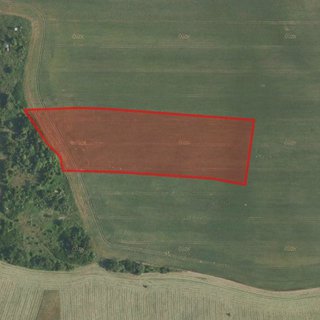 Prodej zemědělské půdy 9 316 m² Obecnice