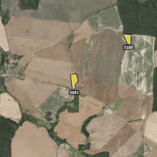 Prodej zemědělské půdy 5 344 m² Honezovice