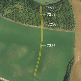 Prodej zemědělské půdy 2 375 m² Šitbořice
