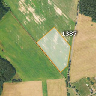 Prodej zemědělské půdy 8 056 m² Arnoltice