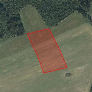 Prodej zemědělské půdy 17 028 m² Maletín
