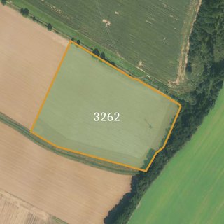 Prodej zemědělské půdy 74 998 m² Dubenec