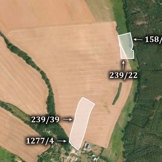 Prodej zemědělské půdy 25 571 m² Líšťany