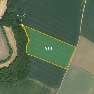 Prodej zemědělské půdy 37 789 m² Sluhy