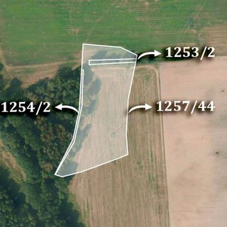 Prodej zemědělské půdy 4 958 m² Lázně Bohdaneč