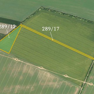 Prodej zemědělské půdy 10 037 m² Kostomlaty nad Labem