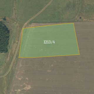 Prodej zemědělské půdy 5 916 m² Stonařov