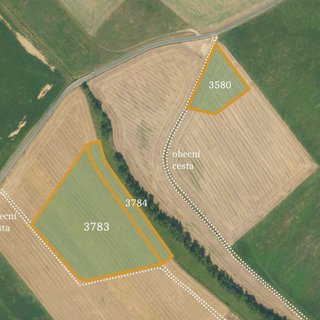 Prodej zemědělské půdy 33 685 m² Moravské Budějovice