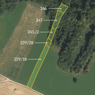 Prodej zemědělské půdy 7 055 m² Ludmírov