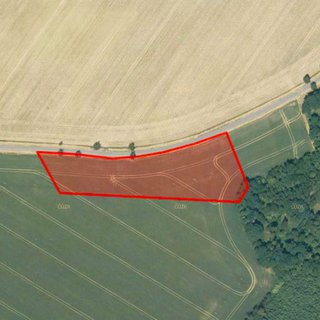 Prodej zemědělské půdy 5 434 m² Javorník
