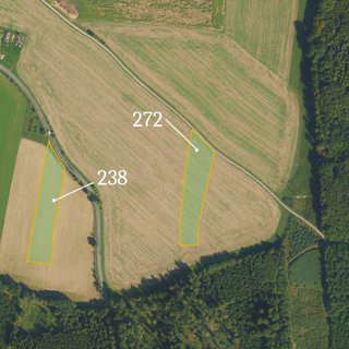Prodej zemědělské půdy 9 054 m² Morašice