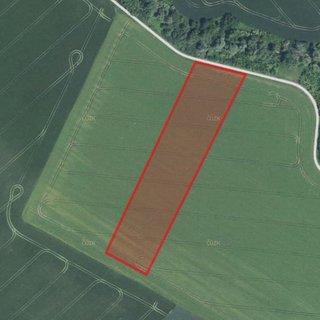 Prodej zemědělské půdy 11 027 m² Dolní Němčí
