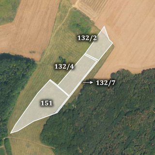 Prodej zemědělské půdy 24 859 m² Chotiněves