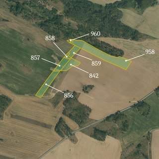 Prodej zemědělské půdy 11 955 m² Vladislav