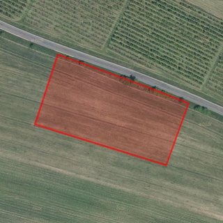 Prodej zemědělské půdy 13 945 m² Nové Město nad Metují