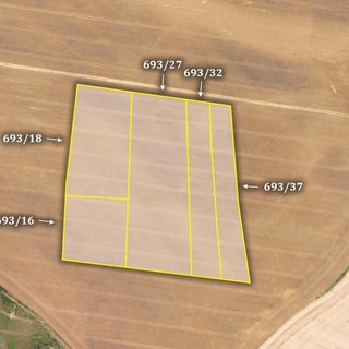 Prodej zemědělské půdy 24 456 m² Štětí