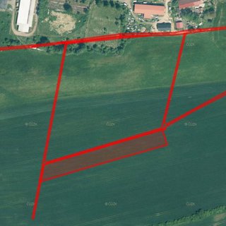Prodej zemědělské půdy 5 332 m² Mirotice