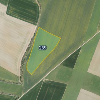 Prodej zemědělské půdy 9 534 m² Dolní Slivno