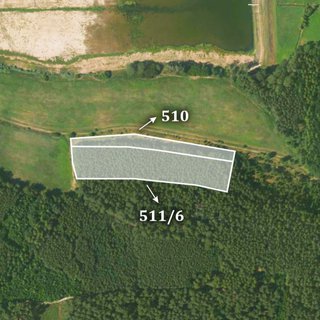 Prodej lesa 33 986 m² Olešná