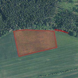 Prodej zemědělské půdy 25 785 m² Kuřimské Jestřabí