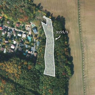 Prodej lesa 7 837 m² Úvaly