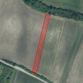 Prodej zemědělské půdy 5 378 m² Hlohovec