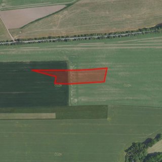 Prodej zemědělské půdy 10 286 m² Nučice