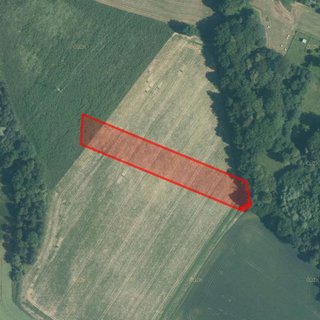Prodej zemědělské půdy 6 269 m² Závišice