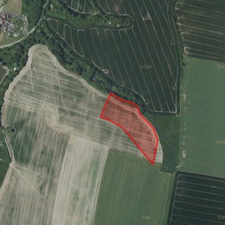 Prodej zemědělské půdy 4 759 m² Dolní Kralovice