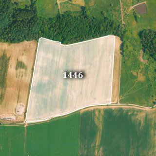Prodej zemědělské půdy 60 614 m² Sadov