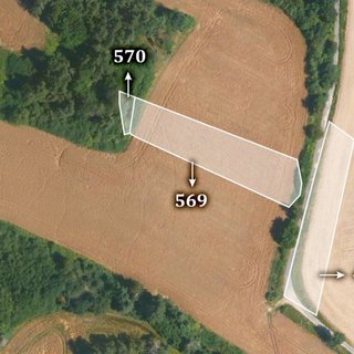 Prodej zemědělské půdy 4 341 m² Mohelnice