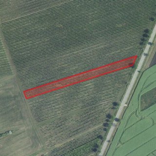 Prodej zemědělské půdy 9 391 m² Terezín