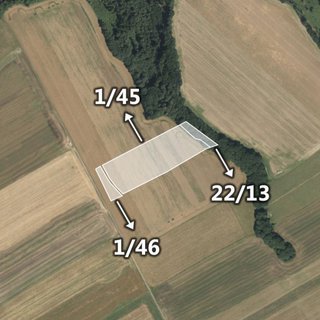Prodej zemědělské půdy 6 431 m² Domašov u Šternberka