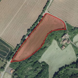 Prodej zemědělské půdy 17 590 m² Pnětluky