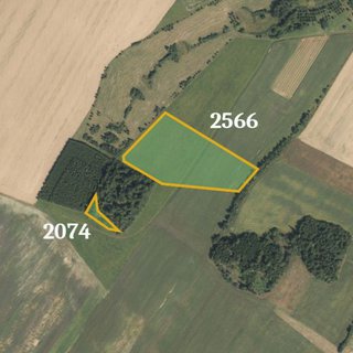 Prodej zemědělské půdy 25 101 m² Brodek u Konice