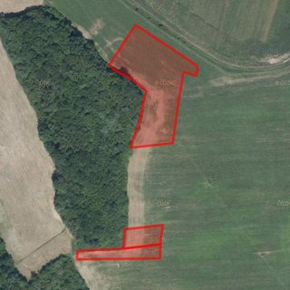 Prodej zemědělské půdy 7 754 m² Plumlov