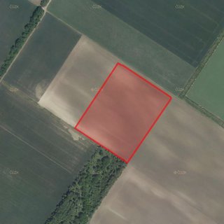 Prodej zemědělské půdy 23 739 m² Hodonice