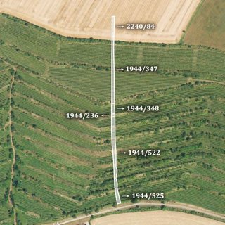 Prodej zemědělské půdy 2 424 m² Morkůvky