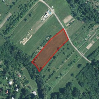 Prodej zemědělské půdy 1 626 m² Radějov
