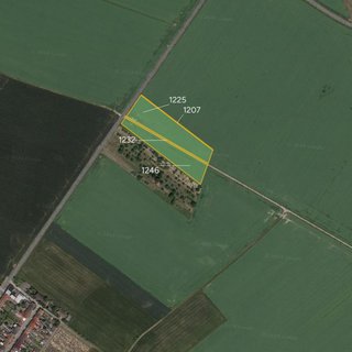 Prodej zemědělské půdy 6 461 m² Bochoř