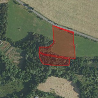 Prodej zemědělské půdy 7 230 m² Obecnice