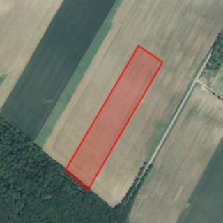 Prodej zemědělské půdy 8 850 m² Miroslavské Knínice