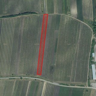 Prodej zemědělské půdy 3 773 m² Hlohovec
