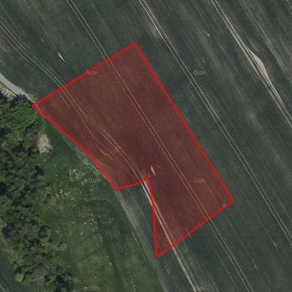 Prodej zemědělské půdy 6 231 m² Zbraslavice