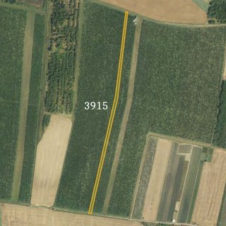 Prodej zemědělské půdy 3 215 m² Starovičky