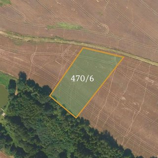Prodej zemědělské půdy 4 160 m² Jindřichův Hradec